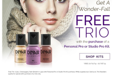 EmailNewsletter-wonder-fall_b